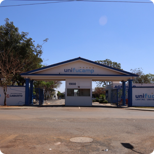 Unidades (17)
